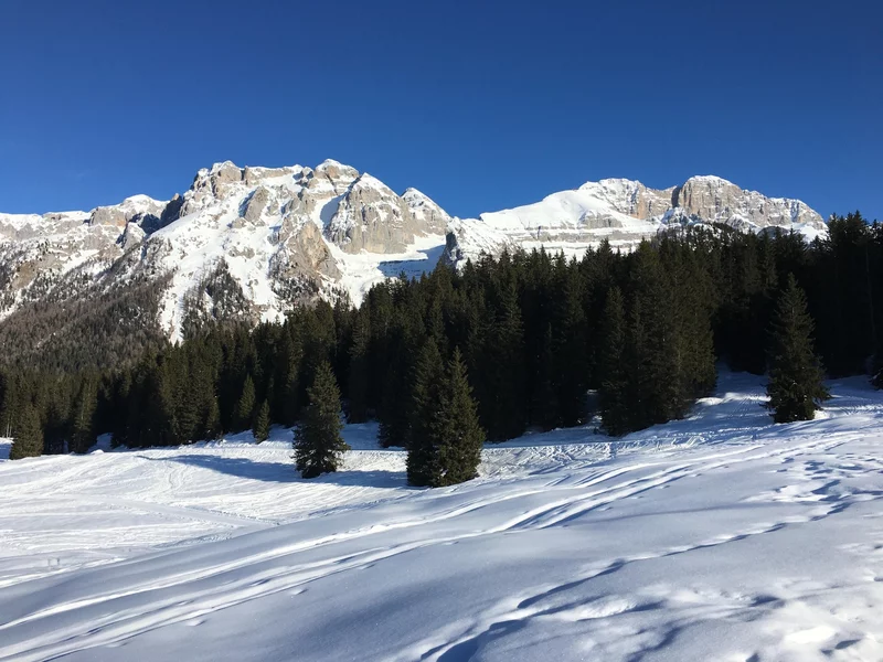 Wegroute n. 8 Campo Carlo Magno - Malga Mondifrà - Schneeschuhroute