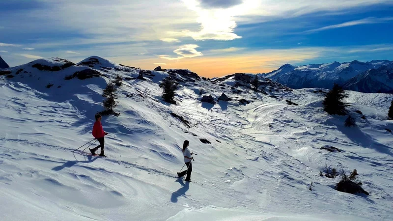 Trail n. 9 Spinale - Terrazza sul Brenta - snowshoeing itinerary