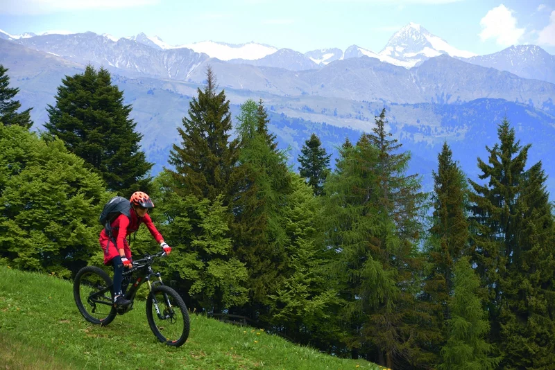 Ringia Supertrail - 1107