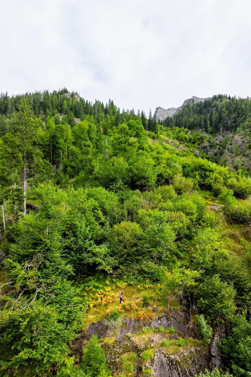 Val Rocchette - La Via delle Valli