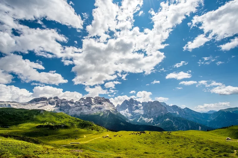 Sentieri Sonori - "Fin en do che pesta le vache" da Casel Fevri a Malga Fevri