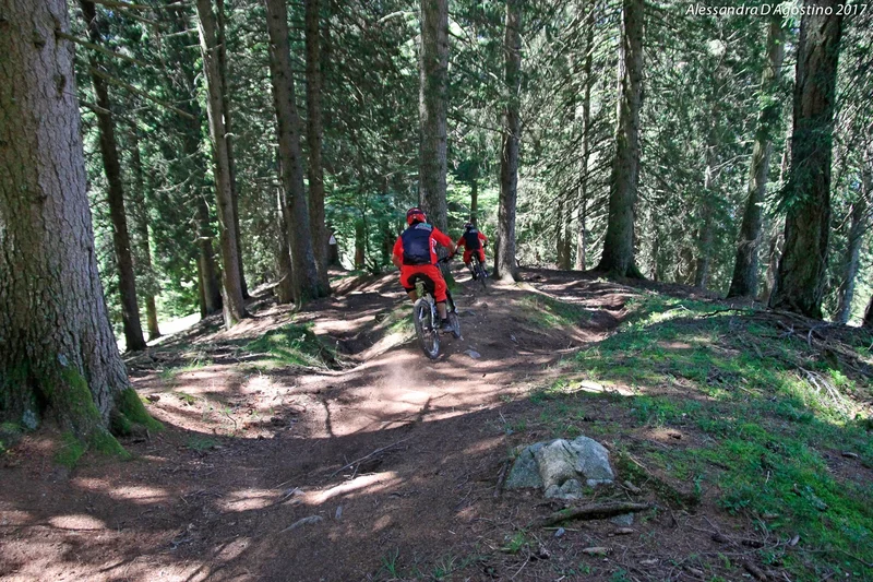 Sfulmini - Brenta Bike Park