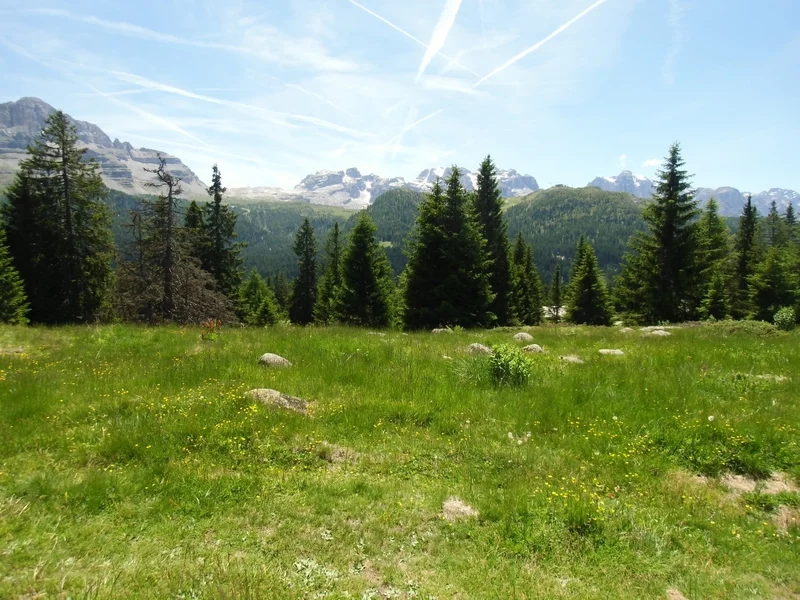 Tour del Sole n°963