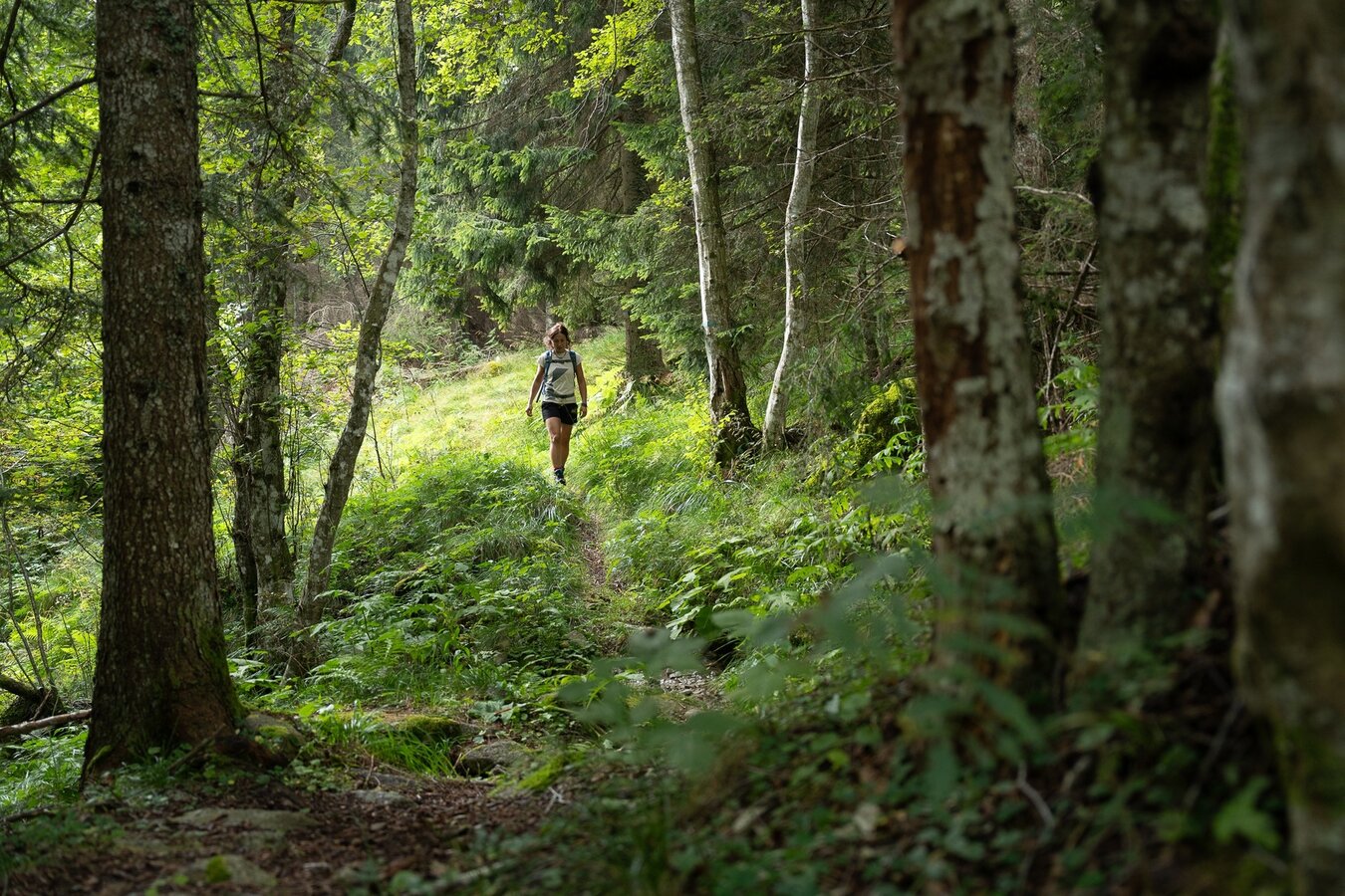 Val Nardis - La Via delle Valli
