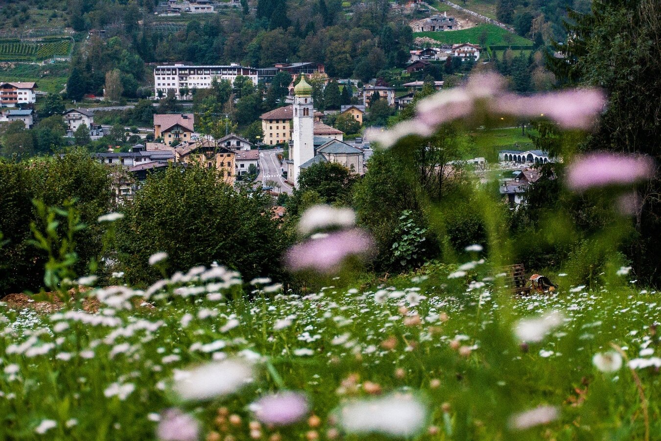 Val Rendena - The Way of the Valleys
