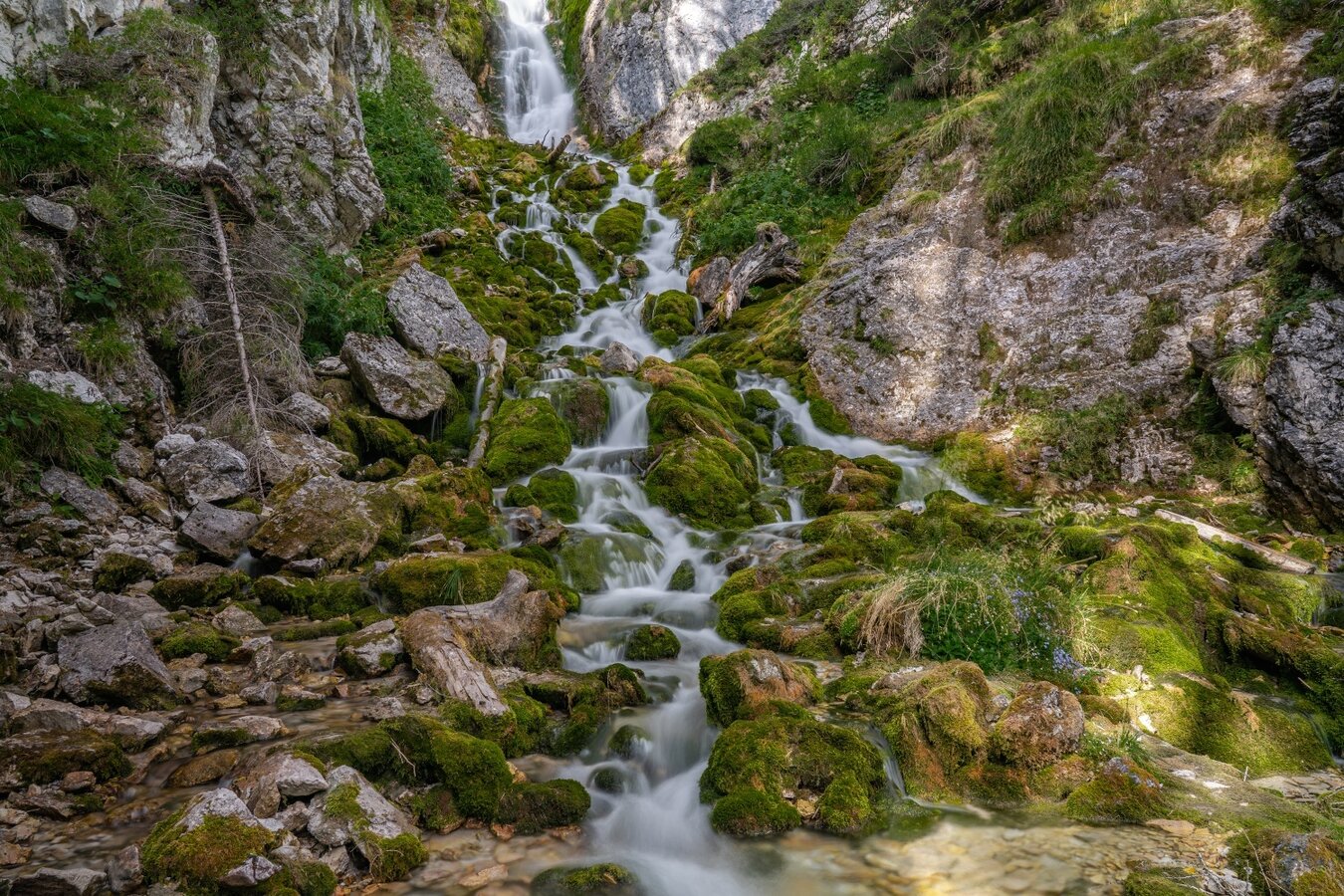 Vallesinella - La Via delle Valli