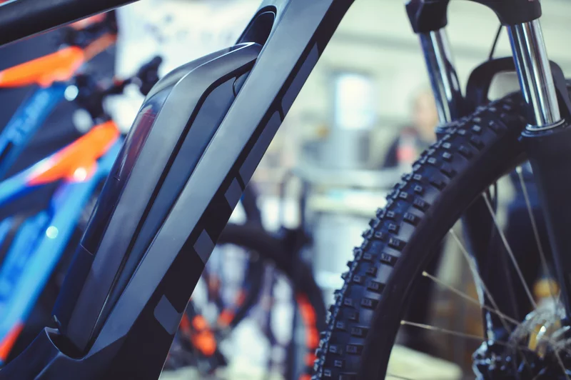 Zebra E-bike Rent & Shop