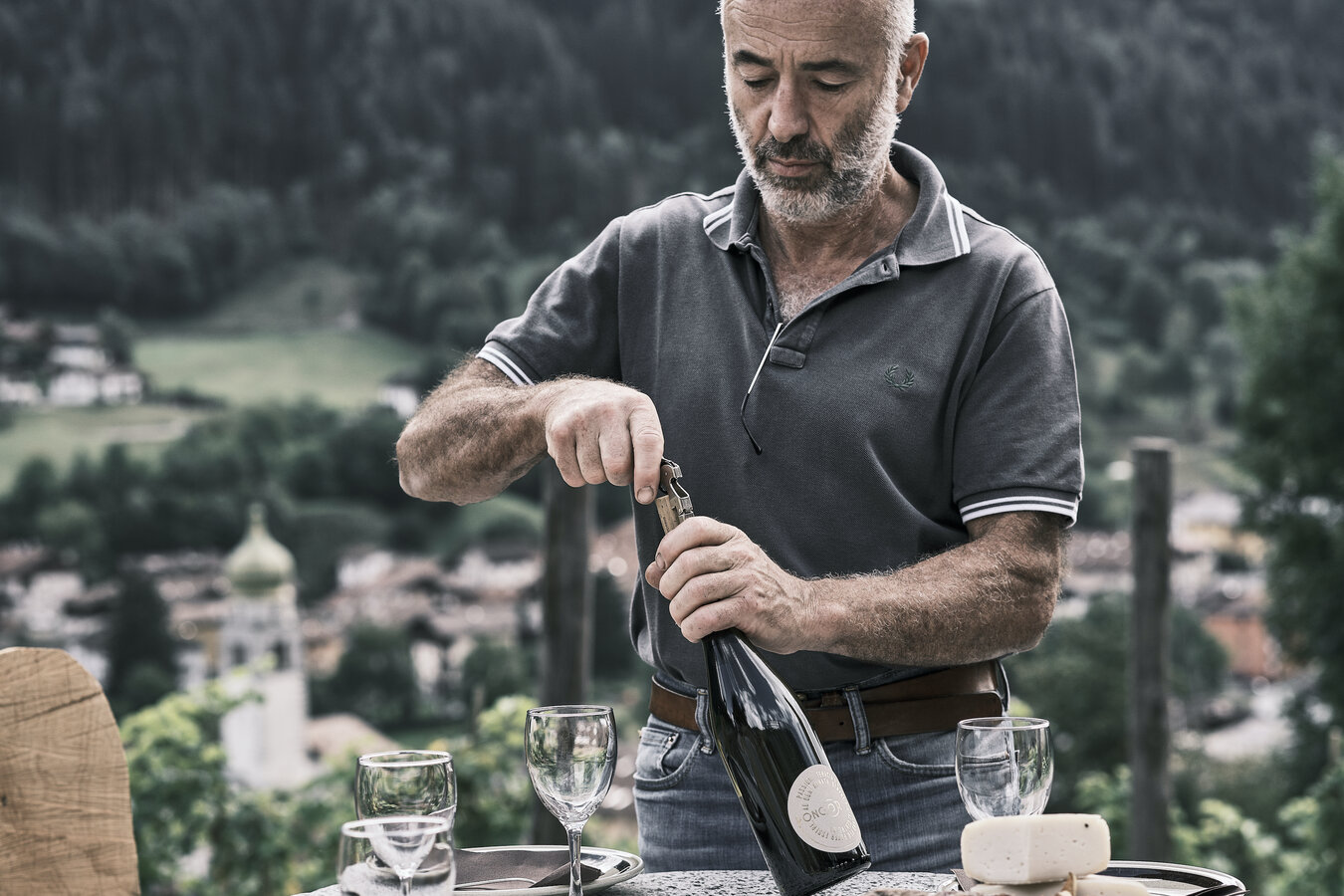 Vini delle Giudicarie