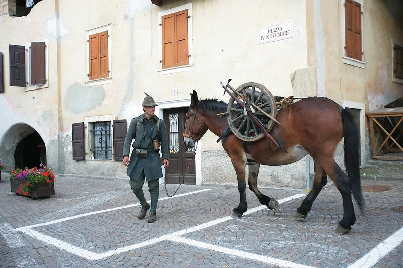 Storia Pinzolo 2